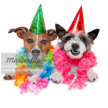 birthday dogs