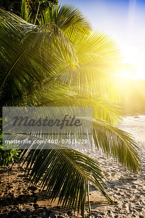 Sunset beach on Saychelles island. Mahe.