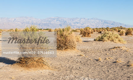 California, sunrise in Death Valley Desert under a blue sky