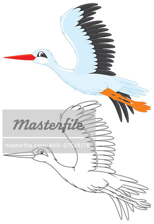White stork flying, color and black and white outline vector illustrations