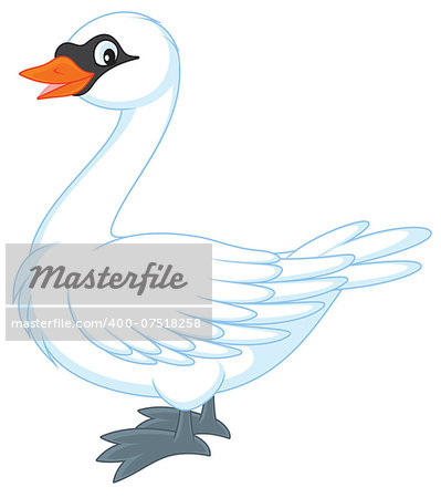 White swan, vector illustration on a white background