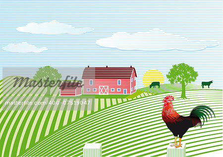 Farm with cock
