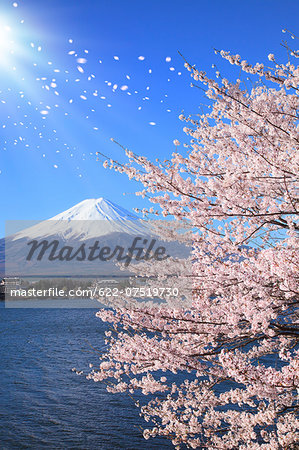 Mount Fuji Mount Fuji
