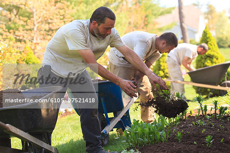 Landscapers putting mulch from wheelbarrows into a home flower garden
