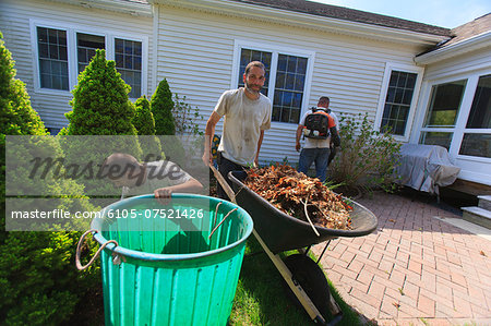 Landscapers clearing weeds into a bin at a home garden and carrying them away in a wheelbarrow
