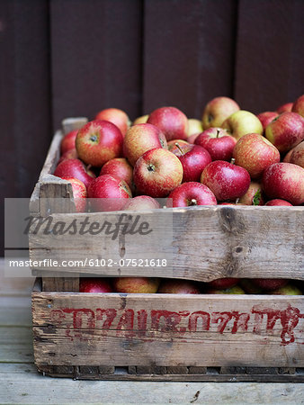 Apples in wooden box, Varmdo, Uppland, Sweden