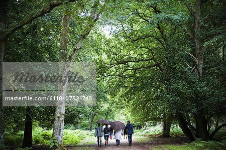 A group of people holding umbrellas, walking along a path through woodland and mature trees in leaf.