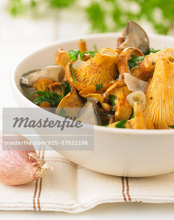 Mushroom fricassée with shallots