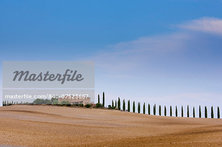 Typical Tuscan farmhouse and landscape in Val D'Orcia, Tuscany, Italy