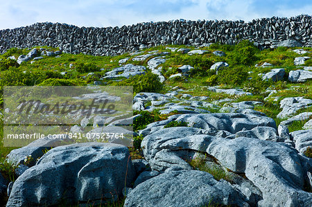 The Burren famous glaciated karst pavement landscape of limestone and dry stone walls, County Clare, West of Ireland