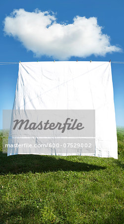 Clean white sheet hanging on clothes line in field, Canada