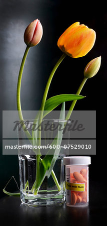 Close-up of water glass with tulips and bottle of pills, medication, studio shot on black background