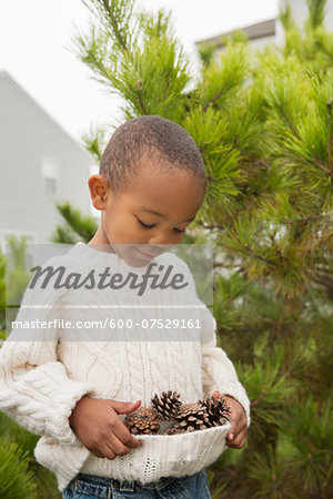 Boy Collecting Pine Cones in Sweater, Maryland, USA