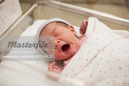 Newborn Baby Girl Yawning in Hospital Bassinet Newborn Baby Girl Yawning in Hospital Bassinet