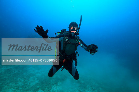 Diving, Adriatic Sea, Croatia, Europe