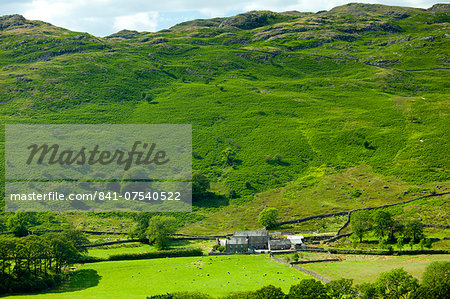 Hill farm smallholding in Hard Knott Pass near Eskdale in the Lake District National Park, Cumbria, UK