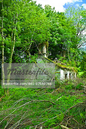 Derelict traditional period old stone cottage overgrown and in need of renovation at Tallow, County Waterford, Ireland