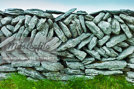 Traditional dry stone wall in meadow in The Burren, County Clare, West of Ireland