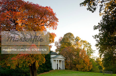 A cotinus tree with bright red foliage in autumn next to the temple in Kew Gardens, UNESCO World Heritage Site, Kew, London, England, United Kingdom, Europe