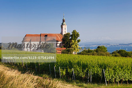 Pilgrimage church of Birnau Abbey and vineyards, Unteruhldingen, Lake Constance (Bodensee), Baden Wurttemberg, Germany, Europe