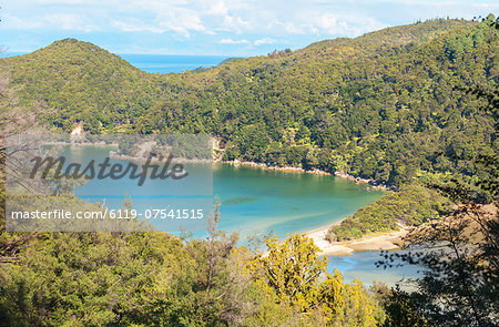 Bark Bay, elevated view, Abel Tasman National Park, Nelson, South Island, New Zealand, Pacific