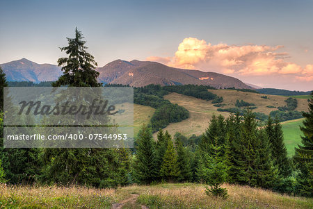 nature landscape with woods and mountains, view towards west tatra mountains (ostra, babky)