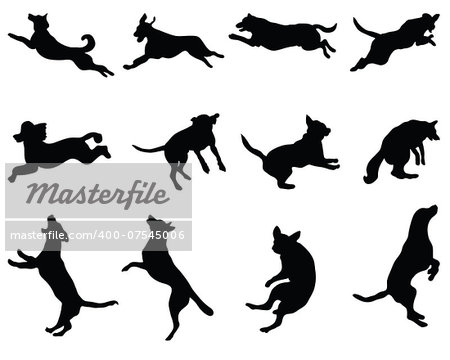Black silhouettes of jumping dogs, vector