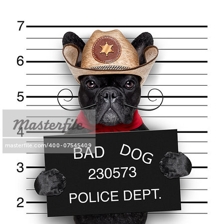 bad mexican dog in a police mugshot