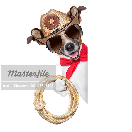 cool cowboy dog behind white blank banner or placard