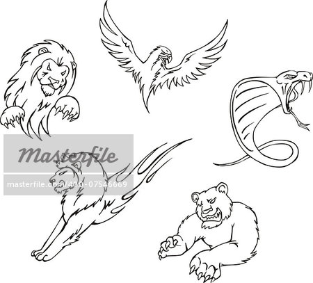 Tattoos - predator animals. Set of black and white vector images.