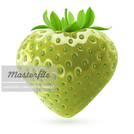 Realistic illustration of unripe strawberry on white background