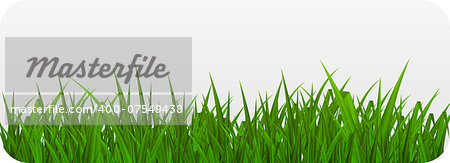 Summer Abstract Background with Grass. Vector Illustration