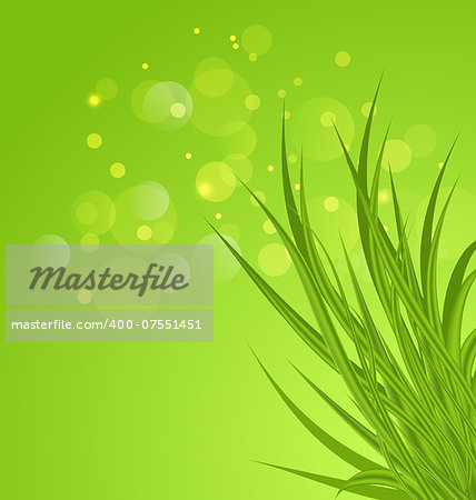 Illustration spring background background with green grass - vector