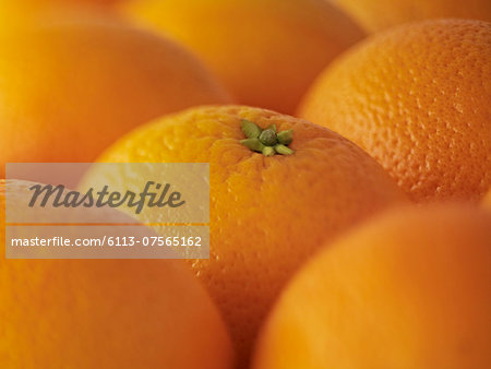 Extreme close up of oranges