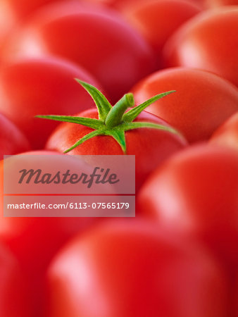 Extreme close up of red tomatoes