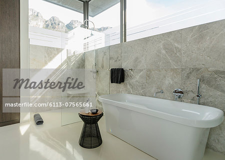 Soaking tub in sunny modern bathroom