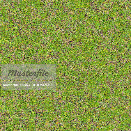 Tender Young Spring Grass. Seamless Tileable Texture.