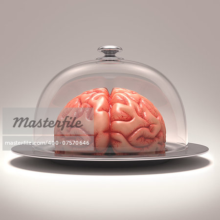 Brain over a stainless steel platter covered by a glass cover. Clipping path included.