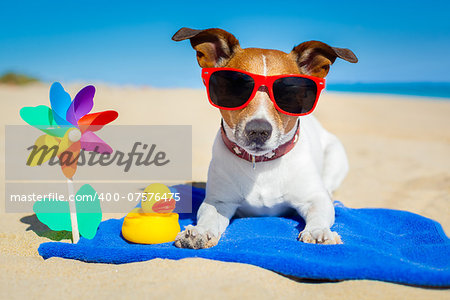 dog plays with sunglasses at the beach on summer vacation holidays