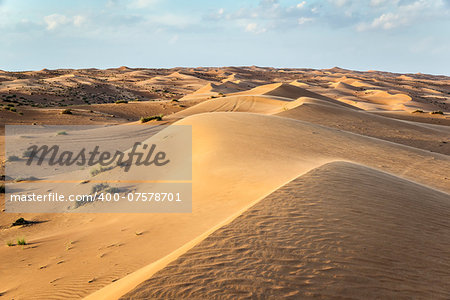 Desert Wahiba in Oman with green bushes and clouds on blue sky