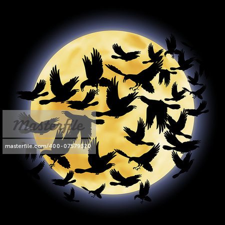 Black crows flying on the background of a full moon night Black crows flying on the background of a full moon night