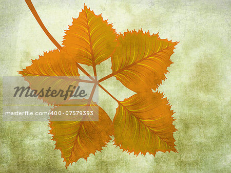 Illustration of branch with yellow autumn leaves on grunge background.