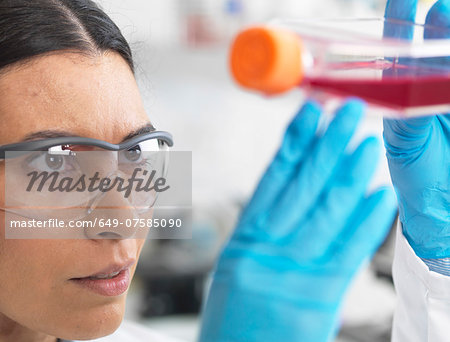 Close up of cell biologist holding a flask containing stem cells, cultivated in red growth medium, to investigate disease