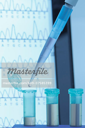 Genetic research. Micropipette filling eppendorf microcentrifuge tubes, commonly used in biochemical and biological research. Laptop screen that displays results of automated DNA sequencing Genetic research. Micropipette filling eppendorf microcentrifuge tubes, commonly used in biochemical and biological research. Laptop screen that displays results of automated DNA sequencing
