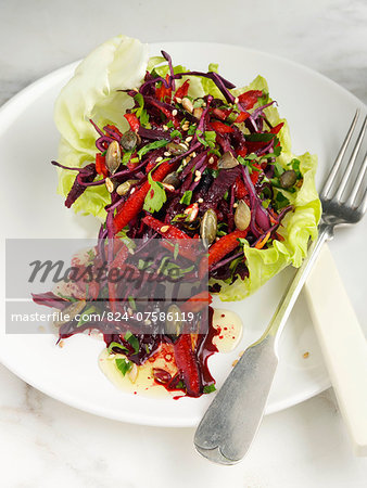 Red cabbage beetroot capsicums pine nut and seeds salad