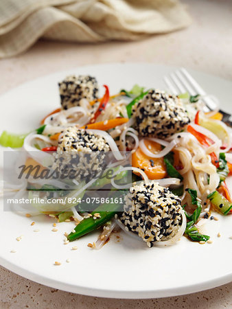 Deep fried tofu coated in black and white sesame seeds rice noodles stir fried vegetables carrots scallions sugar snaps Japanese main meals