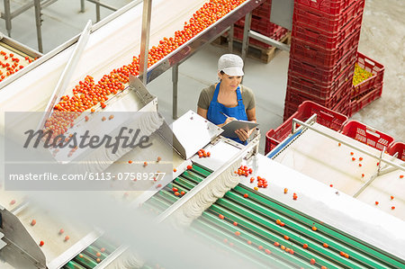Worker with clipboard examining tomatoes in food processing plant Worker with clipboard examining tomatoes in food processing plant