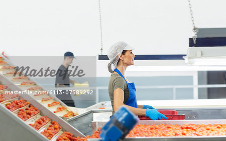 Worker carrying crate of tomatoes in food processing plant