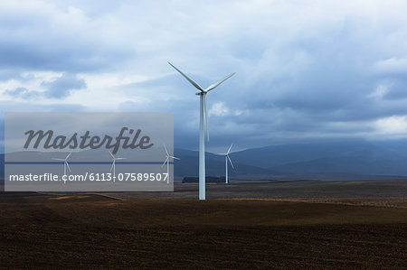 Wind farm in valley, Andaluc'a, Spain