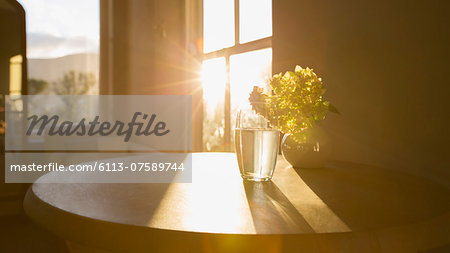 Sun shining in window behind flower in glass